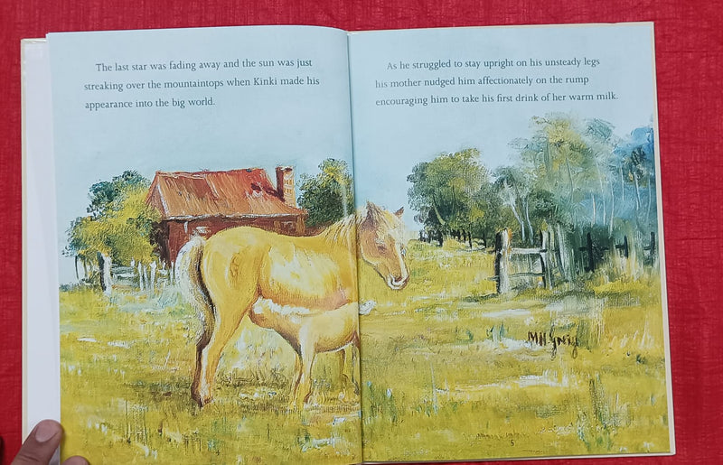 Kinki the cheeky colt | Story Book with Big Pictures and Little Text | For 3-5 Years Old | Paperback | SKU: 2405_101_A101