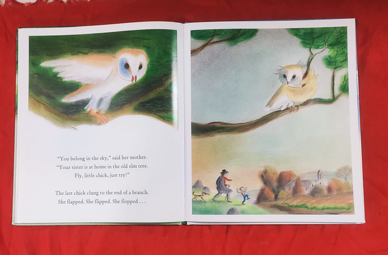 Fly, chick, fly! | Story Book with Big Pictures and Little Text | For 3-5 Years Old | Hardcover | SKU: 2405_101_A108