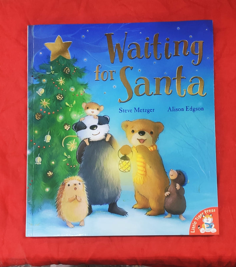 Waiting for Santa | Story Book with Big Pictures and Little Text | For 3-5 Years Old | Paperback | SKU: 2405_101_A108