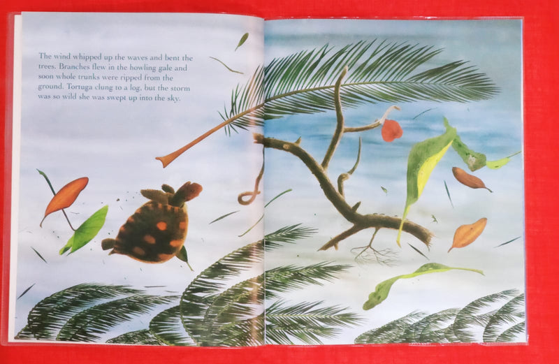 Tortuga | Story Book with Big Pictures and Little Text | For 3-5 Years Old | Paperback | SKU: 2405_101_A103