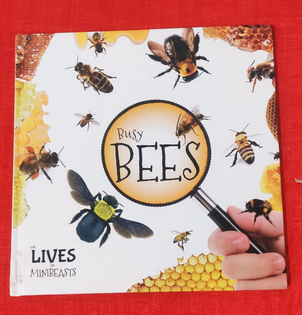 Busy Bees | Educational Non Fiction Book | For 9-12 Years Old | Hardcover | SKU: 2405_101_A104