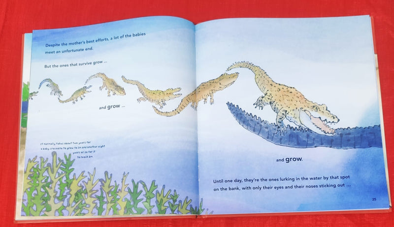 Beware of the Crocodile | Picture Story Book | For 3-5 Years Old | Hardcover | SKU: 2405_101_A104