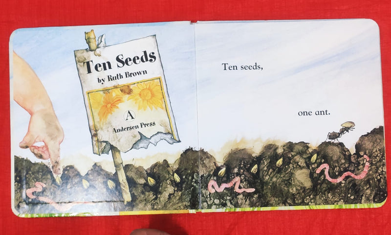 Ten Seeds | Picture Story Book | For 3-5 Years Old | Hardcover | SKU: 2405_101_A105