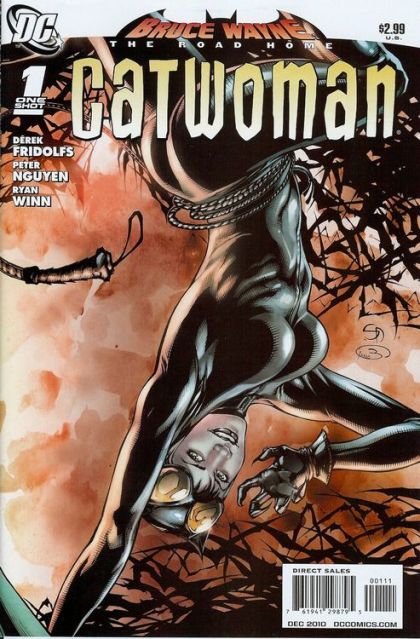 Bruce Wayne: The Road Home: Catwoman Bruce Wayne: The Road Home - Lifting The Vale |  Issue#1 | Year:2010 | Series: Batman | Pub: DC Comics |