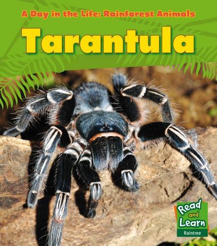 Tarantula by Anita Ganeri | Pub:Raintree | Pages:24 | Condition:Good | Cover:PAPERBACK